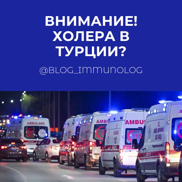 ⚠️ ВНИМАНИЕ! ХОЛЕРА В ТУРЦИИ? Что скрывают власти? ⚠️
Друзья, тревожные новости из Турции! 🇹🇷 Похоже, там назревает серьезная проблема со здоровьем, и власти, возможно, пытаются скрыть масштабы бедств... | Сетка — социальная сеть от hh.ru