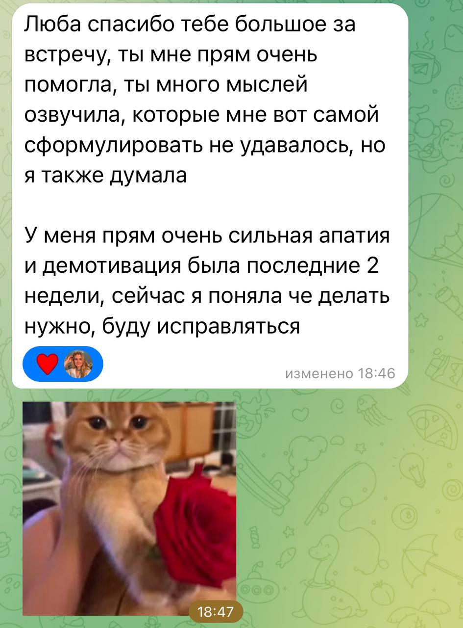 Я менторю уже почти год | Сетка — социальная сеть от hh.ru