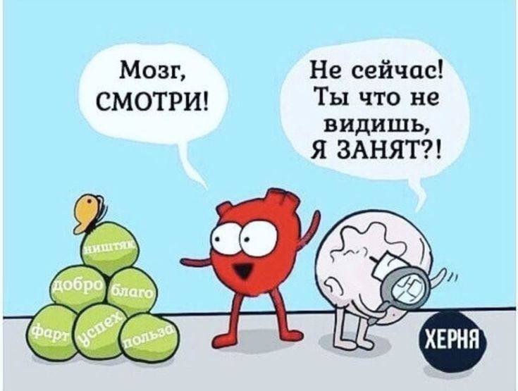 Мозгу не нужен твой успех - неожиданно? Давай разбираться.
Мозг не мечтает о миллионах, признании и красивом теле.
Ему нужно одно: выжить с минимальными затратами энергии | Сетка — социальная сеть от hh.ru