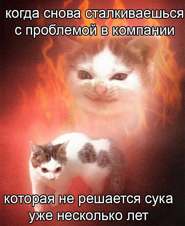 😈😈😈 | Сетка — социальная сеть от hh.ru