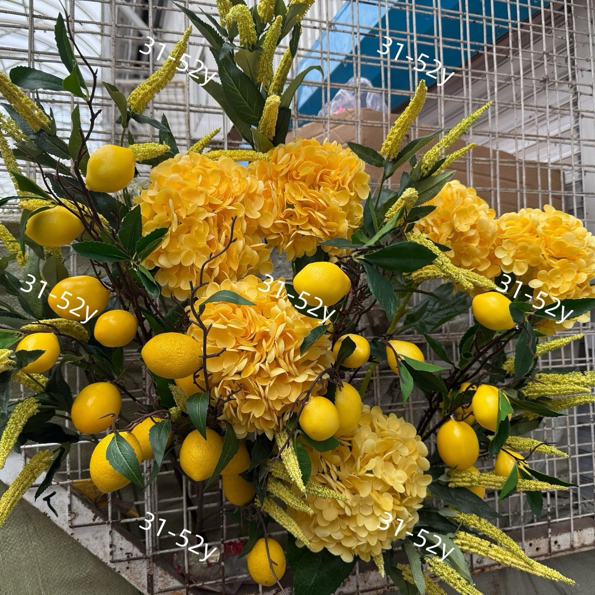 Али Муминов | Сетка — социальная сеть от hh.ru