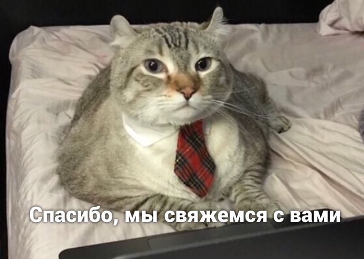 Самое | Сетка — социальная сеть от hh.ru