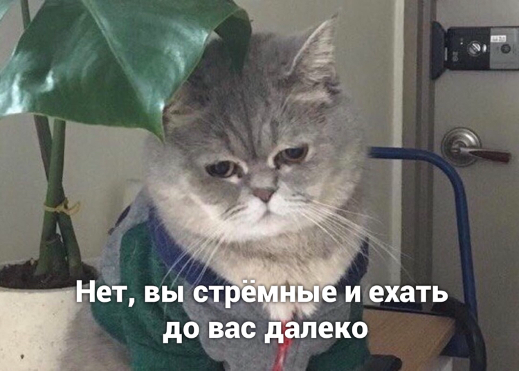 Мне и дома хорошо работается | Сетка — социальная сеть от hh.ru