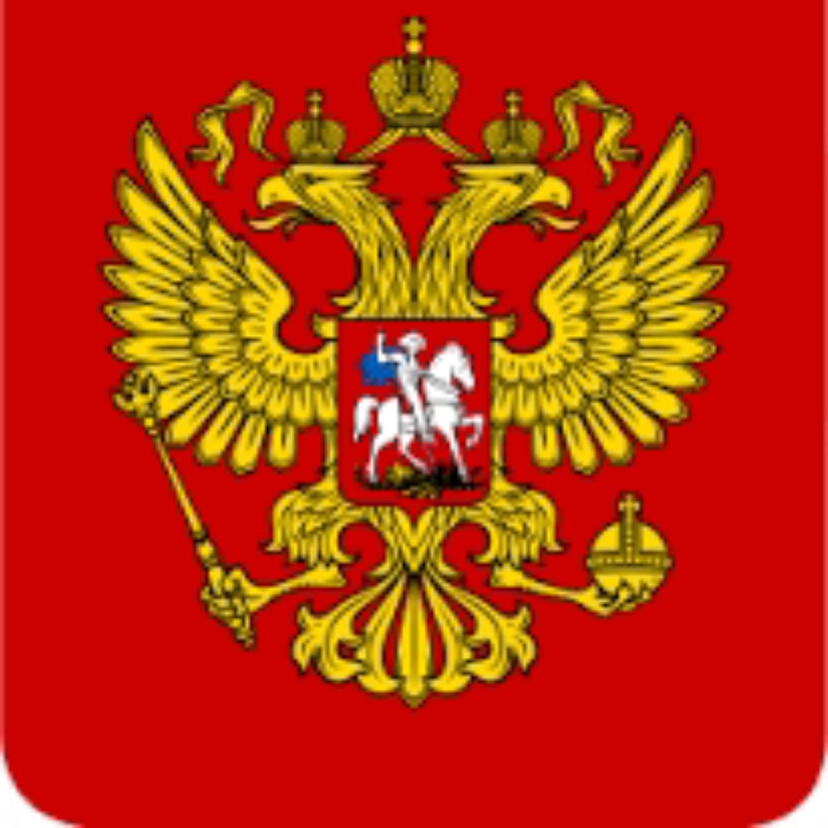 Evgeniy Klyuev | Сетка — социальная сеть от hh.ru