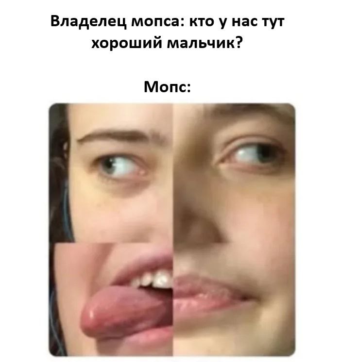 Мемный вторник!
Поделитесь тем что вас заставило улыбнуться ) | Сетка — социальная сеть от hh.ru