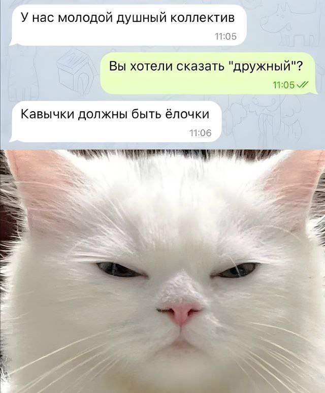 Мемный вторник!
Поделитесь тем что вас заставило улыбнуться ) | Сетка — социальная сеть от hh.ru