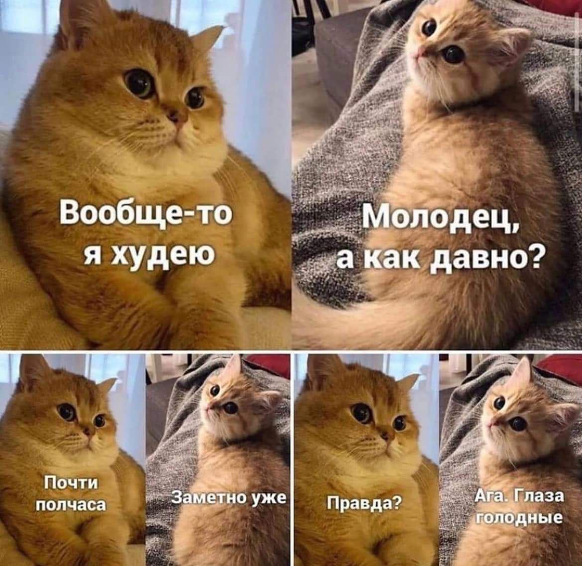 Мемный вторник!
Поделитесь тем что вас заставило улыбнуться ) | Сетка — социальная сеть от hh.ru