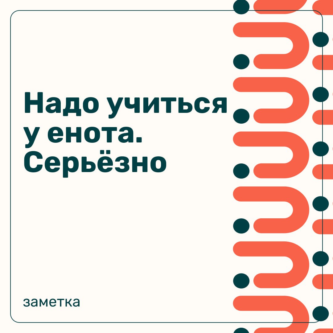 Иногда полезно посмотреть на метафору с енотом – хитрым и находчивым зверьком – и вспомнить о важности такта и находчивости в обратной связи. Главное правило: честность + тактичность + конструктив | Сетка — социальная сеть от hh.ru