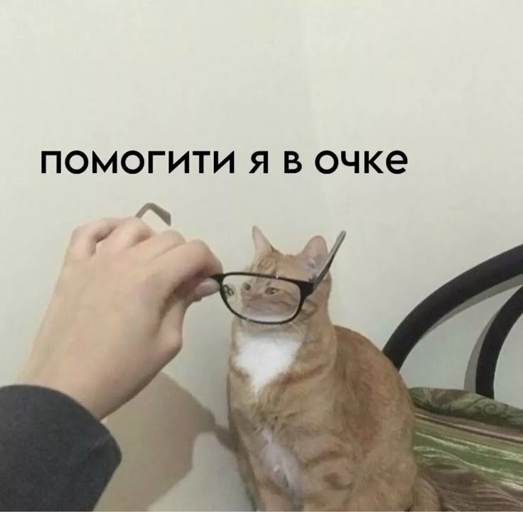 Отчёт по отчёту где? | Сетка — социальная сеть от hh.ru