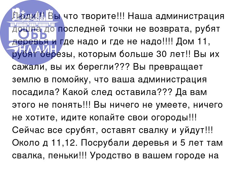 ↗ Люди!!! Вы что творите!!! Наша администрация дошла до последней точки не возврата, рубят деревья и где надо и где не надо!!!! Дом 11, рубят березы, которым больше 30 лет!! Вы их сажали, вы их берегл... | Сетка — социальная сеть от hh.ru