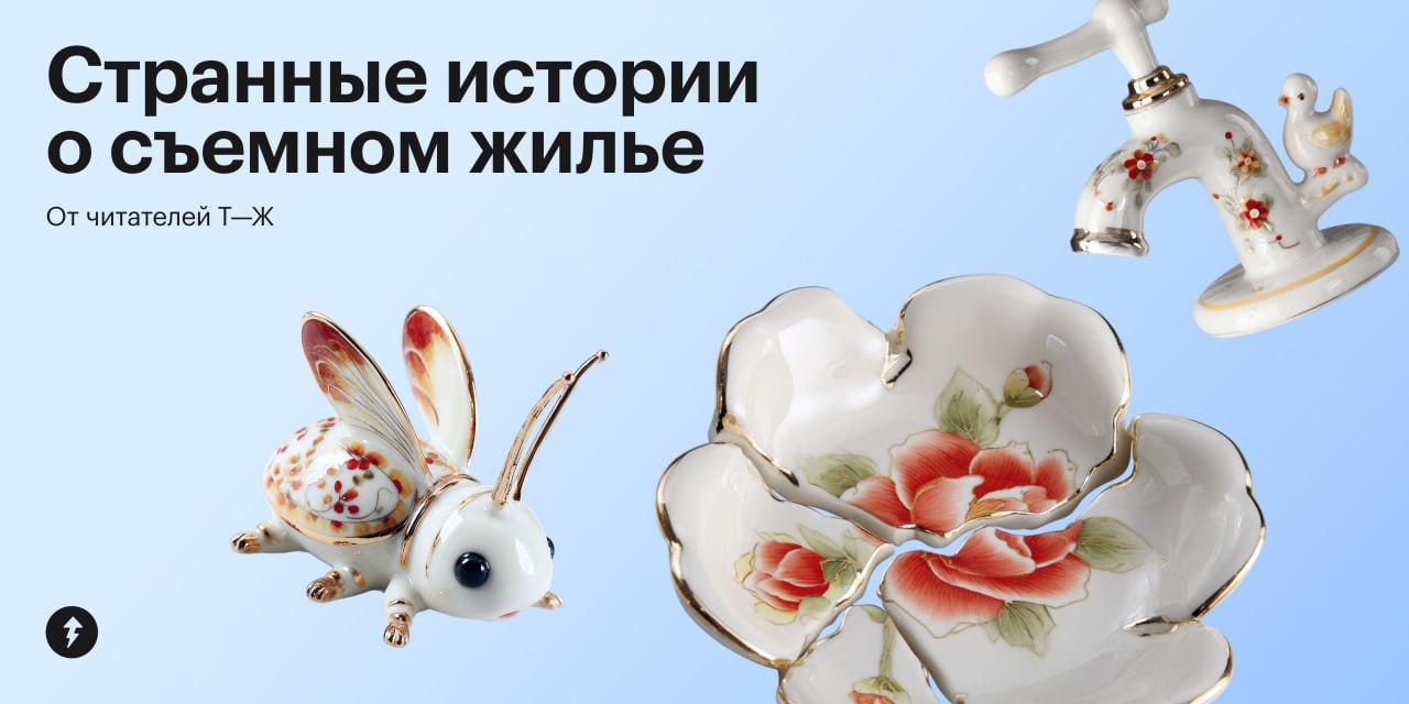 Читатели Т⁠—⁠Ж рассказали, как сталкивались с неадекватными хозяевами, соседями и нашествием насекомых.
⚡️ Чтобы не повторять горький опыт, советуем пройти наш первый урок курса «Как быть взрослым» | Сетка — социальная сеть от hh.ru