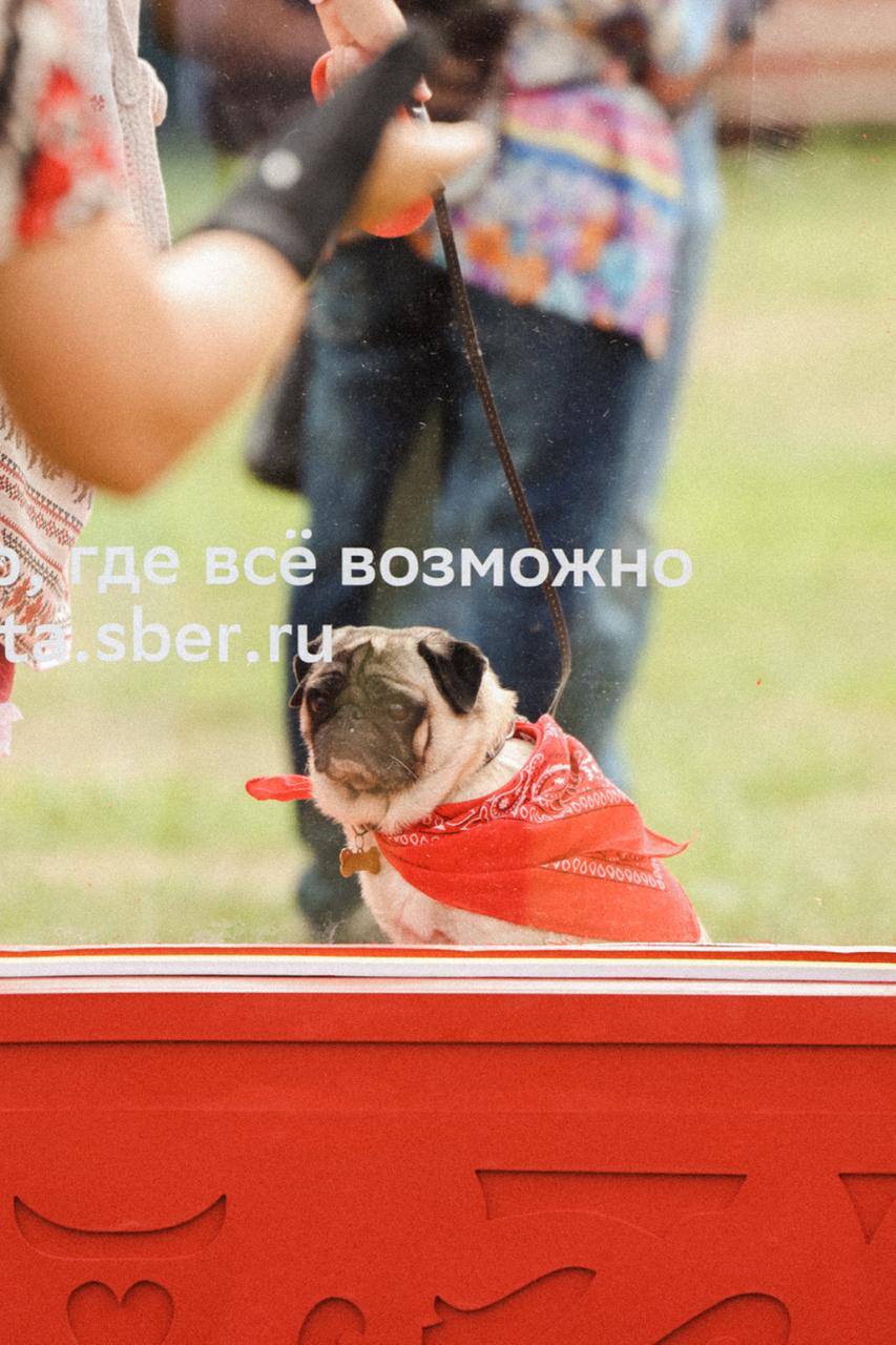 В минувшую субботу Сбер стал участником крупнейшего фестиваля современного фольклора в Воронеже | Сетка — социальная сеть от hh.ru