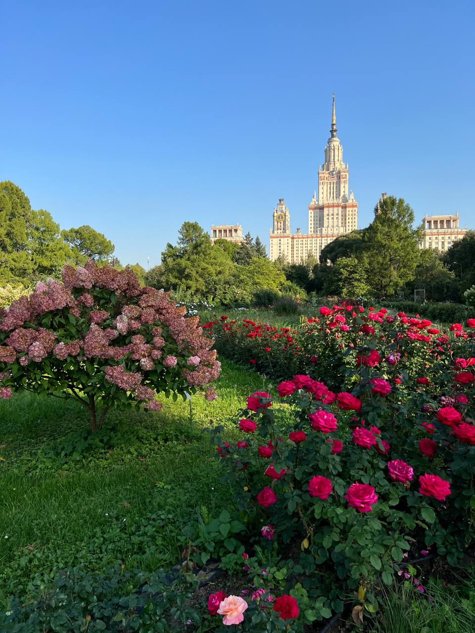 😍 Красота в Ботаническом саду МГУ
Успели прогуляться там?
❤️ — Да
😁 — Нет
📲Подпишитесь на Вдвижении
#бесплатно
В этом посте были ссылки, но мы их удалили по правилам Сетки | Сетка — социальная сеть от hh.ru