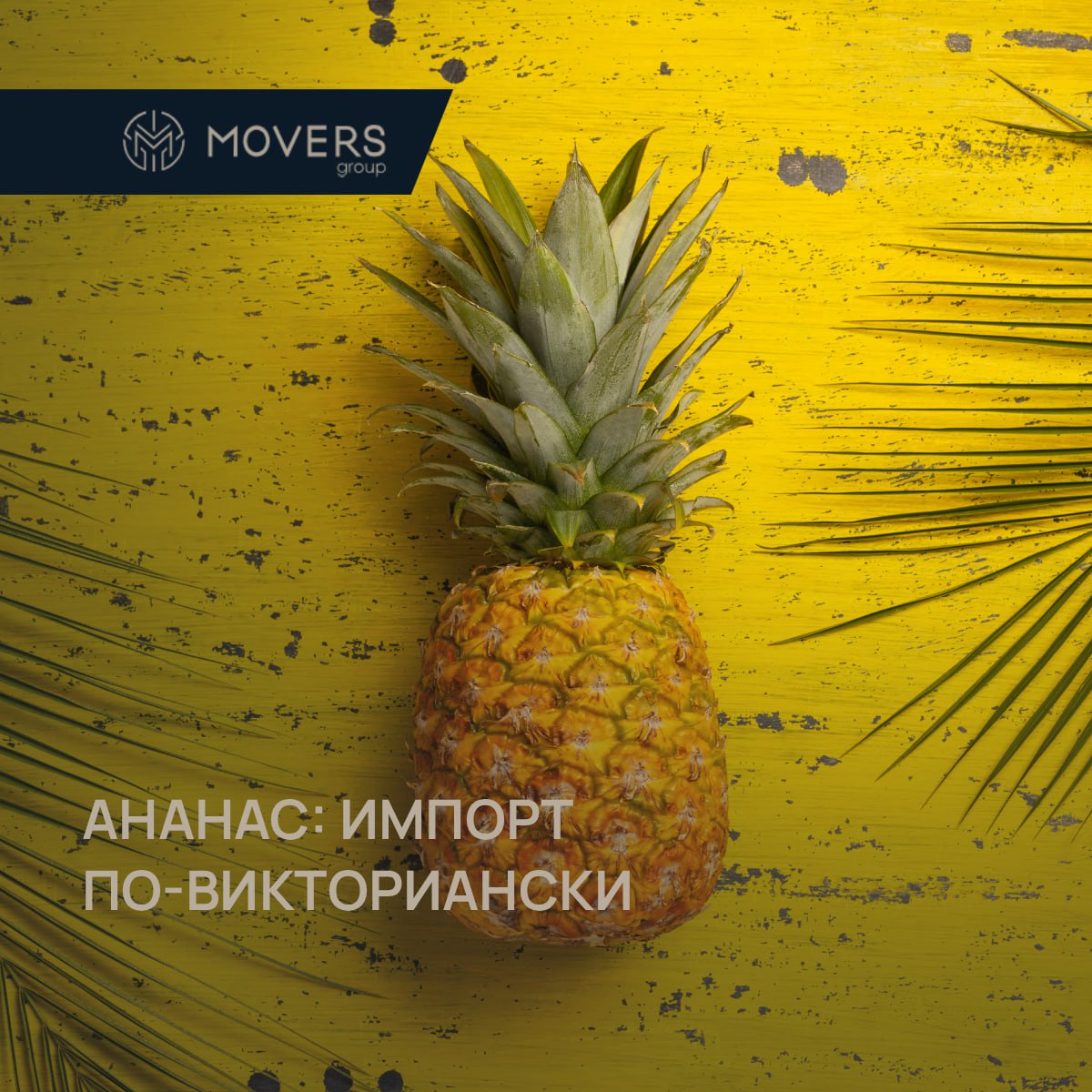 🍍 АНАНАС: импорт по-викториански
Знаете, что было круче Lamborghini в XVIII веке? Ананас. Да-да, этот фрукт был главным flex’ом английского аристократа. Его не ели — им хвастались | Сетка — социальная сеть от hh.ru