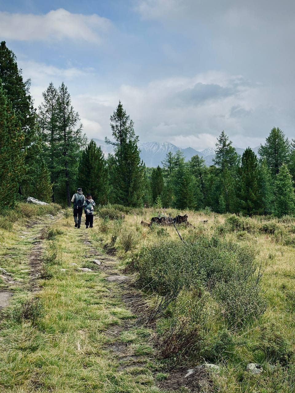 Внутреннее путешествие
Каждое путешествие для меня — внутреннее.
А Горный Алтай, в который очень давно хотел съездить с братом и вот, — особенно | Сетка — социальная сеть от hh.ru