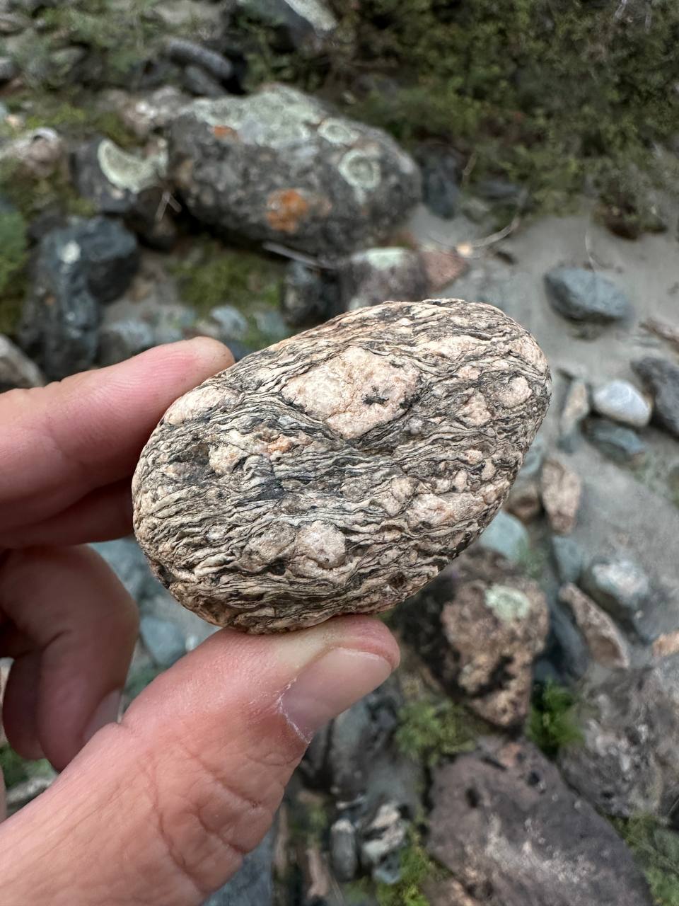 Внутреннее путешествие
Каждое путешествие для меня — внутреннее.
А Горный Алтай, в который очень давно хотел съездить с братом и вот, — особенно | Сетка — социальная сеть от hh.ru