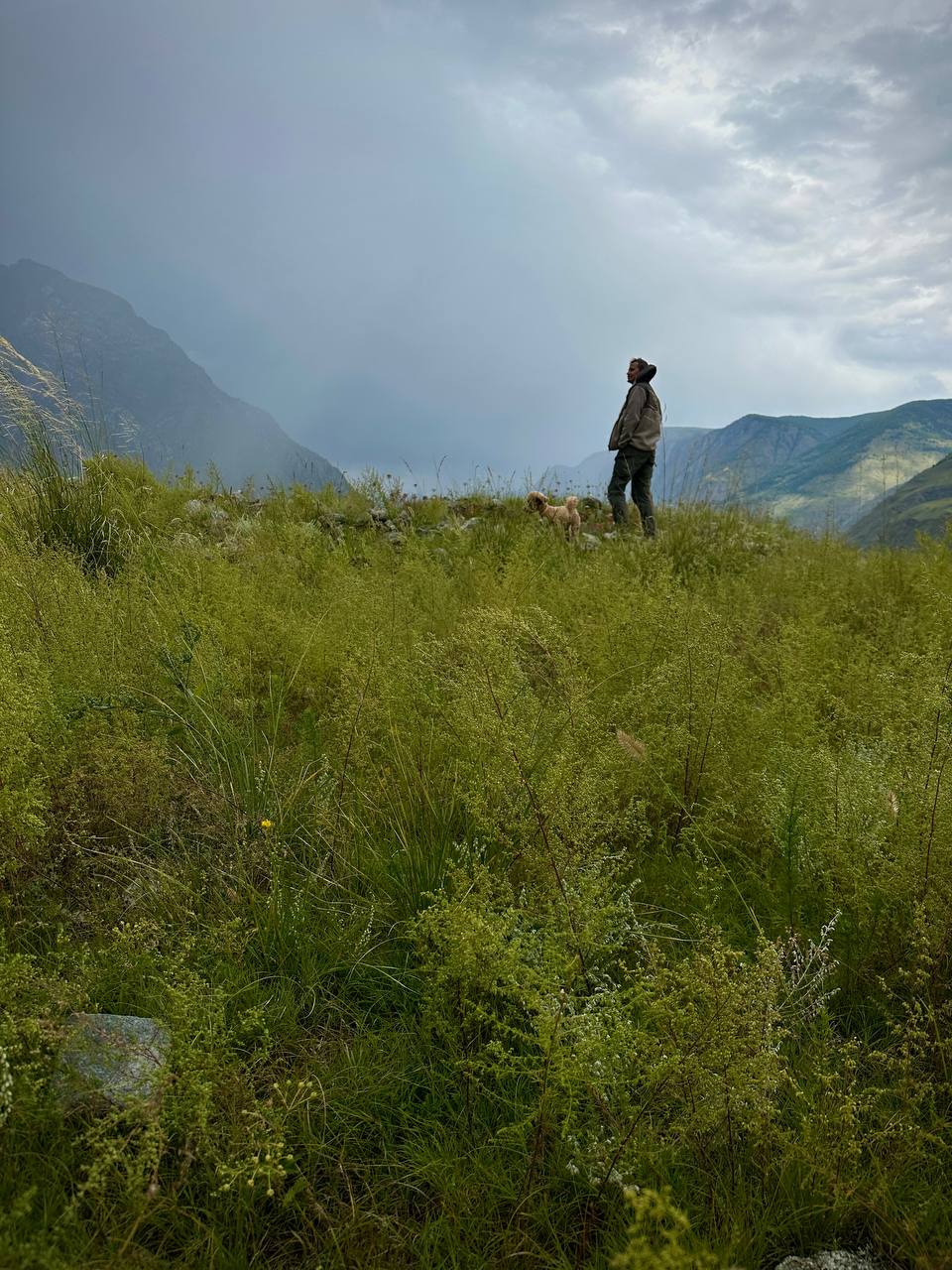 Внутреннее путешествие
Каждое путешествие для меня — внутреннее.
А Горный Алтай, в который очень давно хотел съездить с братом и вот, — особенно | Сетка — социальная сеть от hh.ru