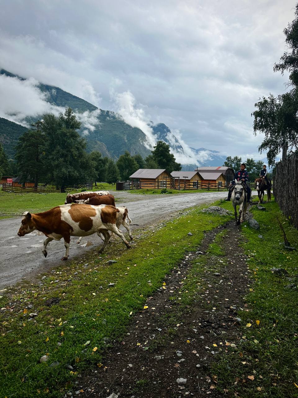 Внутреннее путешествие
Каждое путешествие для меня — внутреннее.
А Горный Алтай, в который очень давно хотел съездить с братом и вот, — особенно | Сетка — социальная сеть от hh.ru