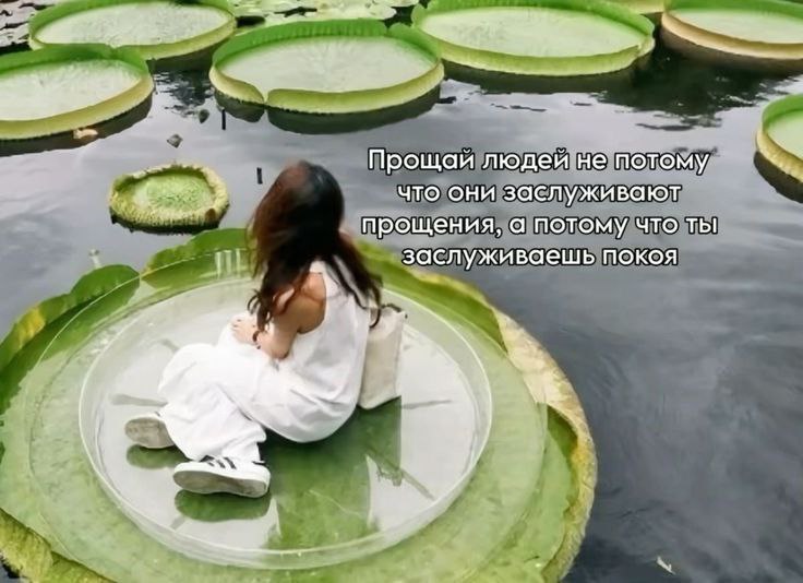 есть два типа людей: 😇😈 | Сетка — социальная сеть от hh.ru