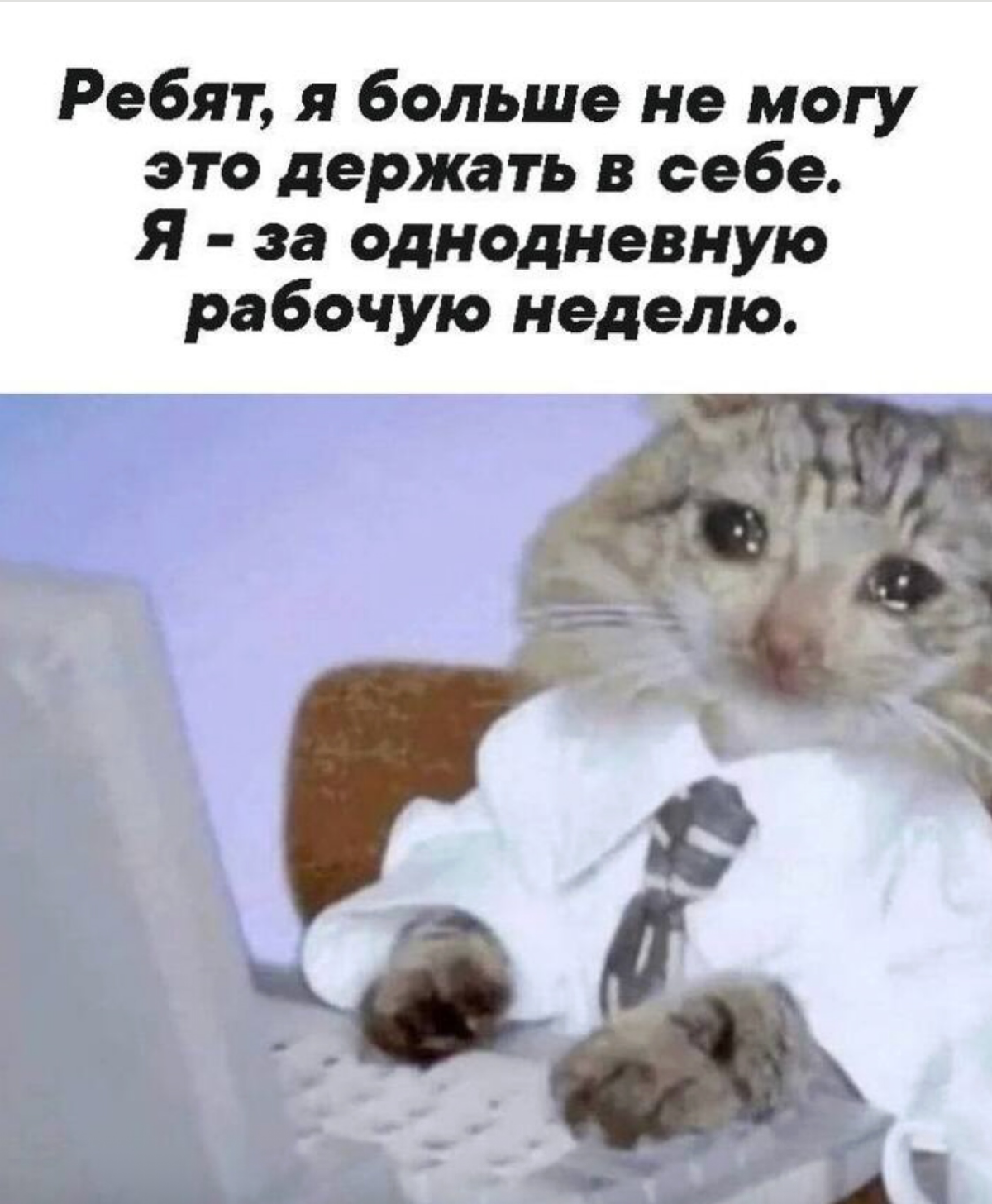 Четырехдневка на пальцах | Сетка — социальная сеть от hh.ru
