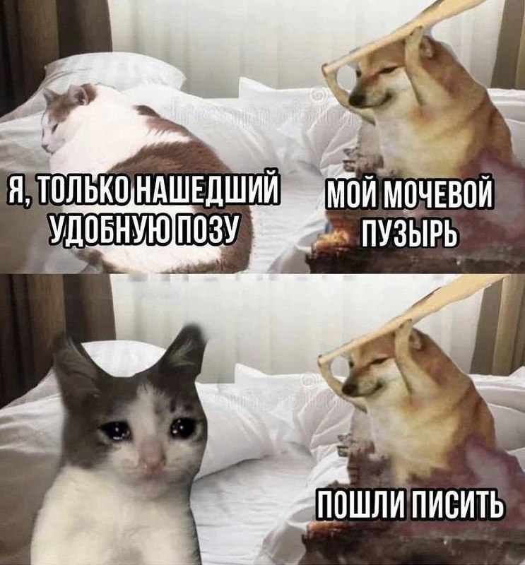На любой случай, если что-то улыбнуло, кидайте вашу фотку с улыбкой в комменты | Сетка — социальная сеть от hh.ru