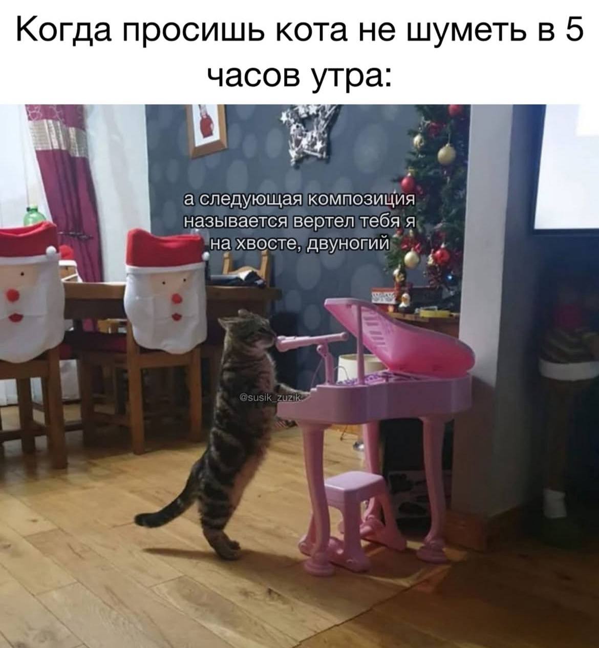 На любой случай, если что-то улыбнуло, кидайте вашу фотку с улыбкой в комменты | Сетка — социальная сеть от hh.ru