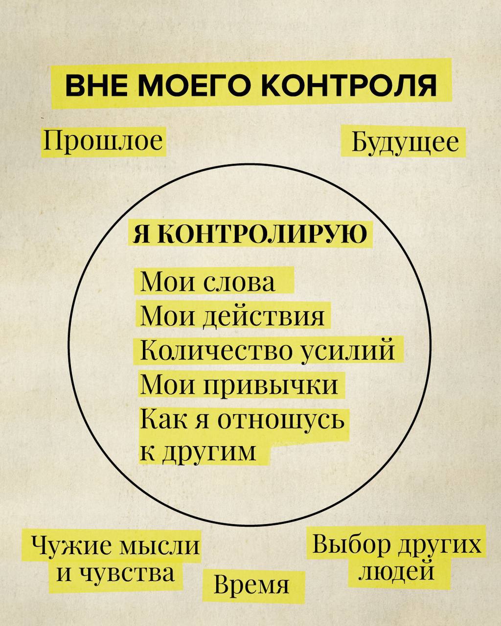 Тимофей Нутрихин | Сетка — социальная сеть от hh.ru