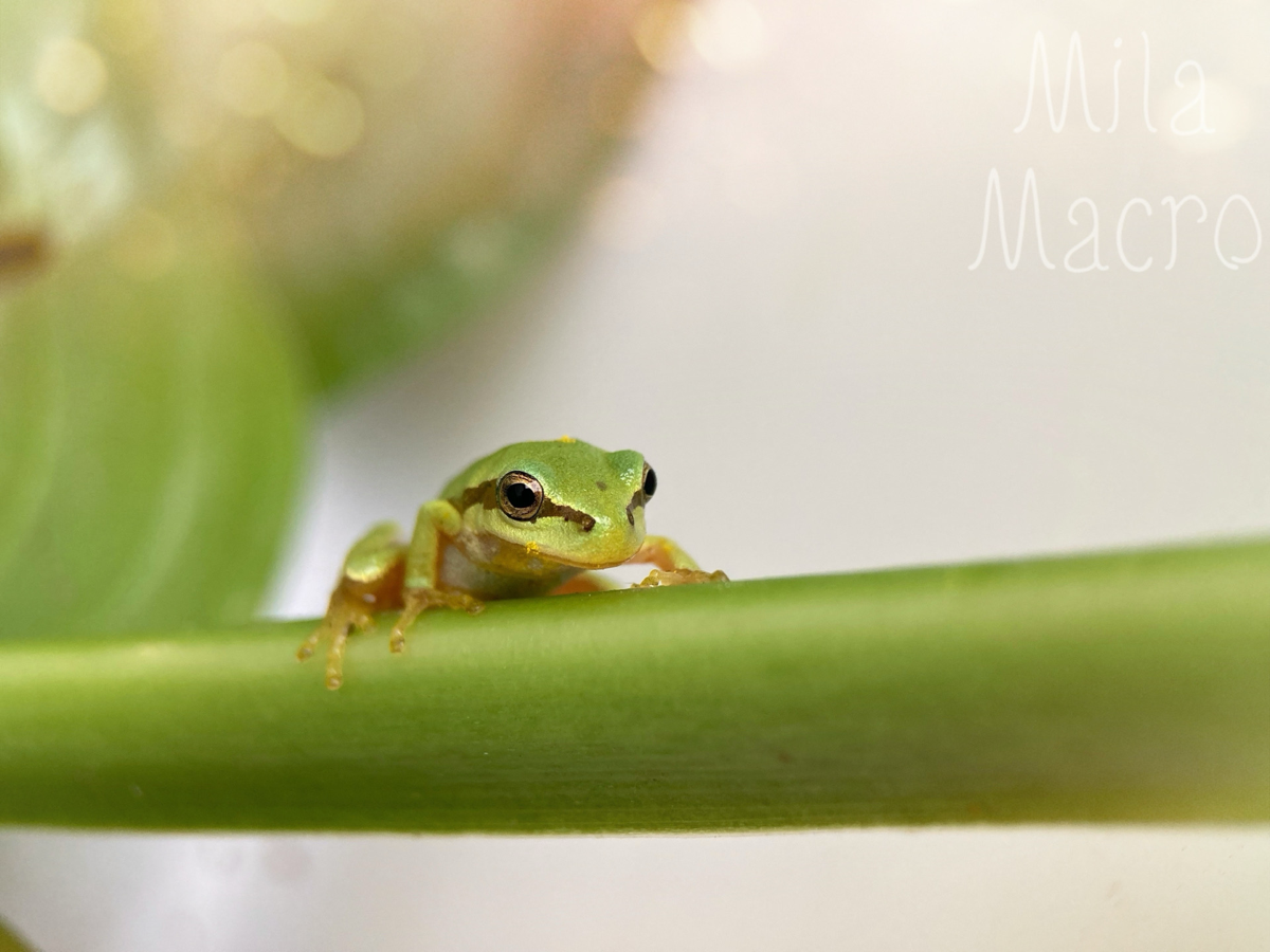 It’s Wednesday, my dudes) | Сетка — социальная сеть от hh.ru