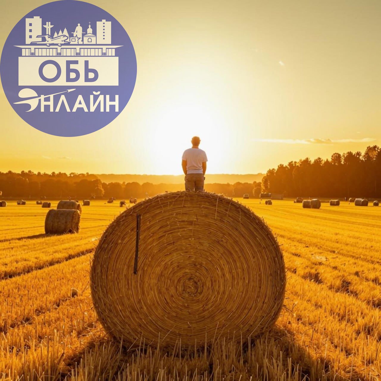 ↗ Здравствуйте, дорогие Земляки! Очень хочется поделиться с Вами новой песней о Нашей Родине | Сетка — социальная сеть от hh.ru
