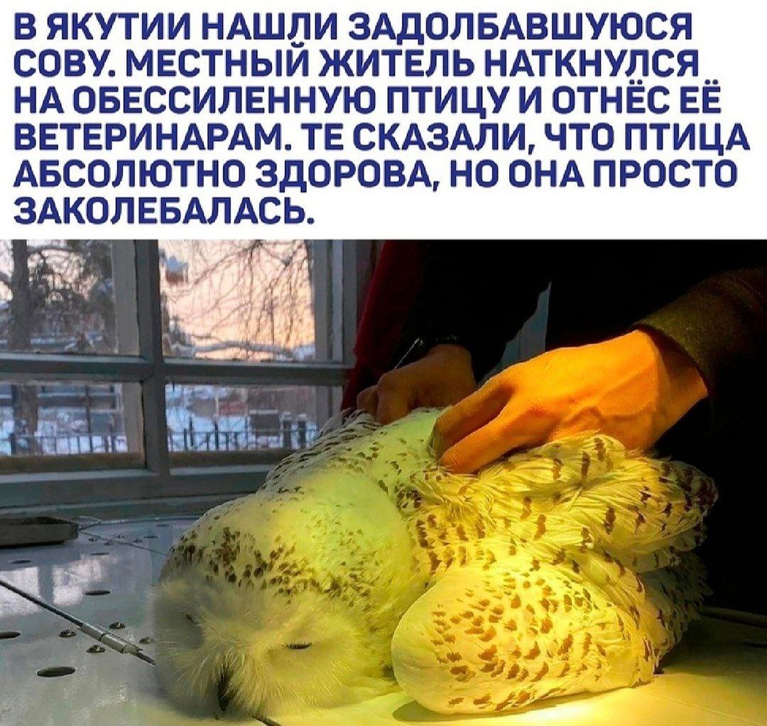 А тем временем сегодня только среда ✍️ | Сетка — социальная сеть от hh.ru