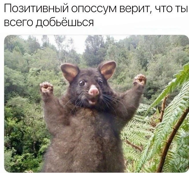 Верим?) | Сетка — социальная сеть от hh.ru