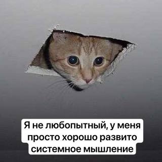 Самое важное качество СА
Крутые СА НЕ те, кто самый хардскильный или софтскильный, или два в одном флаконе | Сетка — социальная сеть от hh.ru