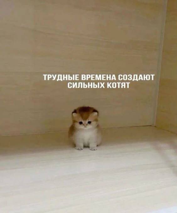 💡 «3 совета, как выделиться среди сотен откликов»
1️⃣ Чистое резюме.
Уберите «лишнее»: резюме должно быть понятно с первого взгляда. Укажите стек и достижения — не воду.
2️⃣ Краткое сопроводительное | Сетка — социальная сеть от hh.ru