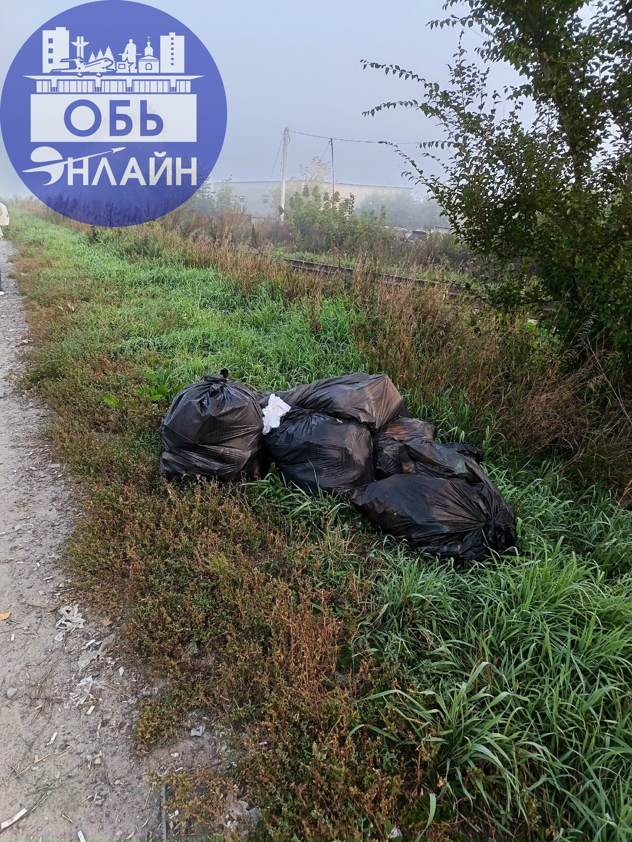 ↗ Лицо города Обь! Дорога из Аэропорта Толмачево в городок Обь. Мусор лежит неделями.
vk.com
Подробнее на https://vk.com/ob.gorod
#городобь #городобьонлайн #толмачево | Сетка — социальная сеть от hh.ru
