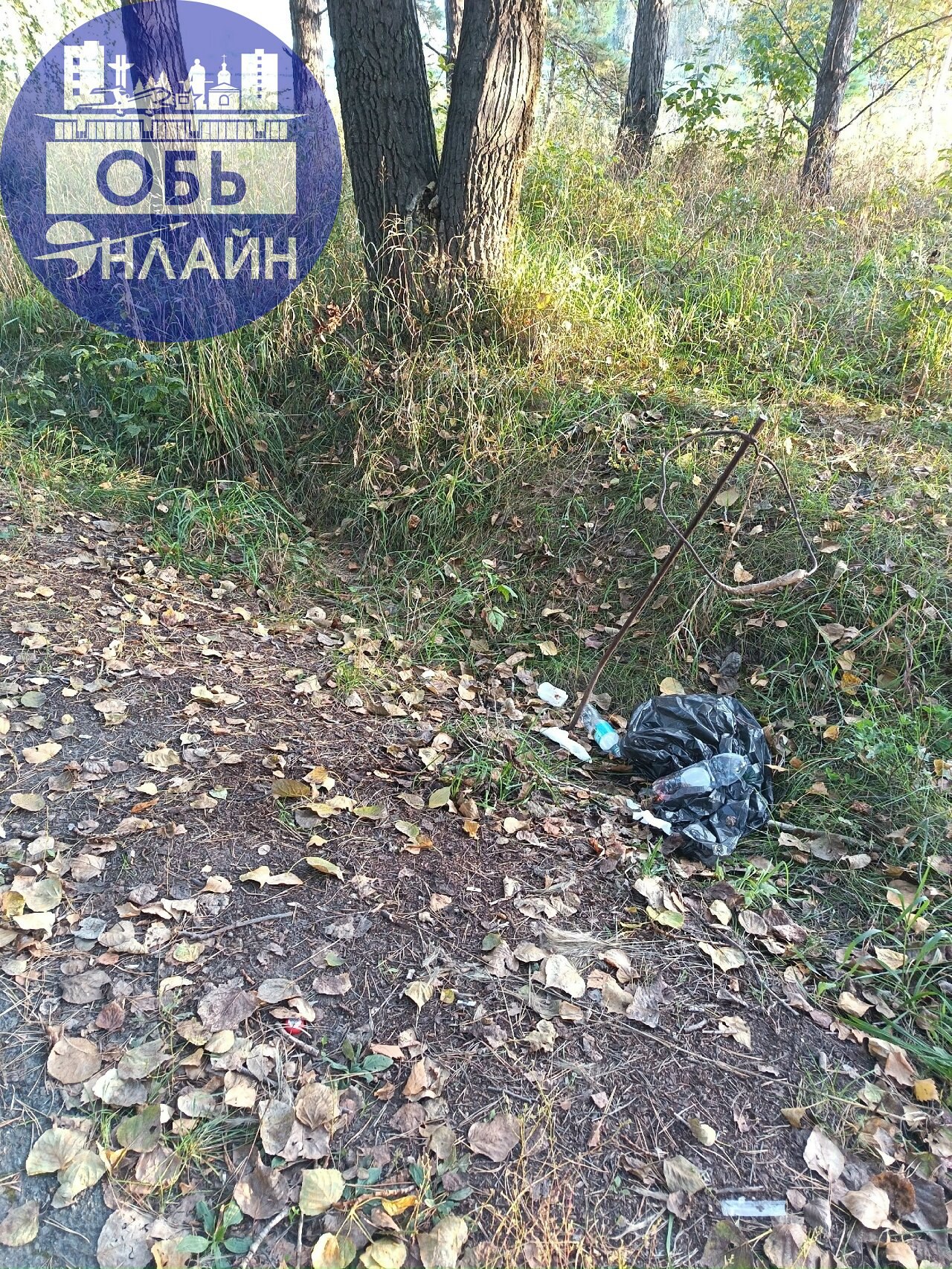 ↗ Лицо города Обь! Дорога из Аэропорта Толмачево в городок Обь. Мусор лежит неделями.
vk.com
Подробнее на https://vk.com/ob.gorod
#городобь #городобьонлайн #толмачево | Сетка — социальная сеть от hh.ru
