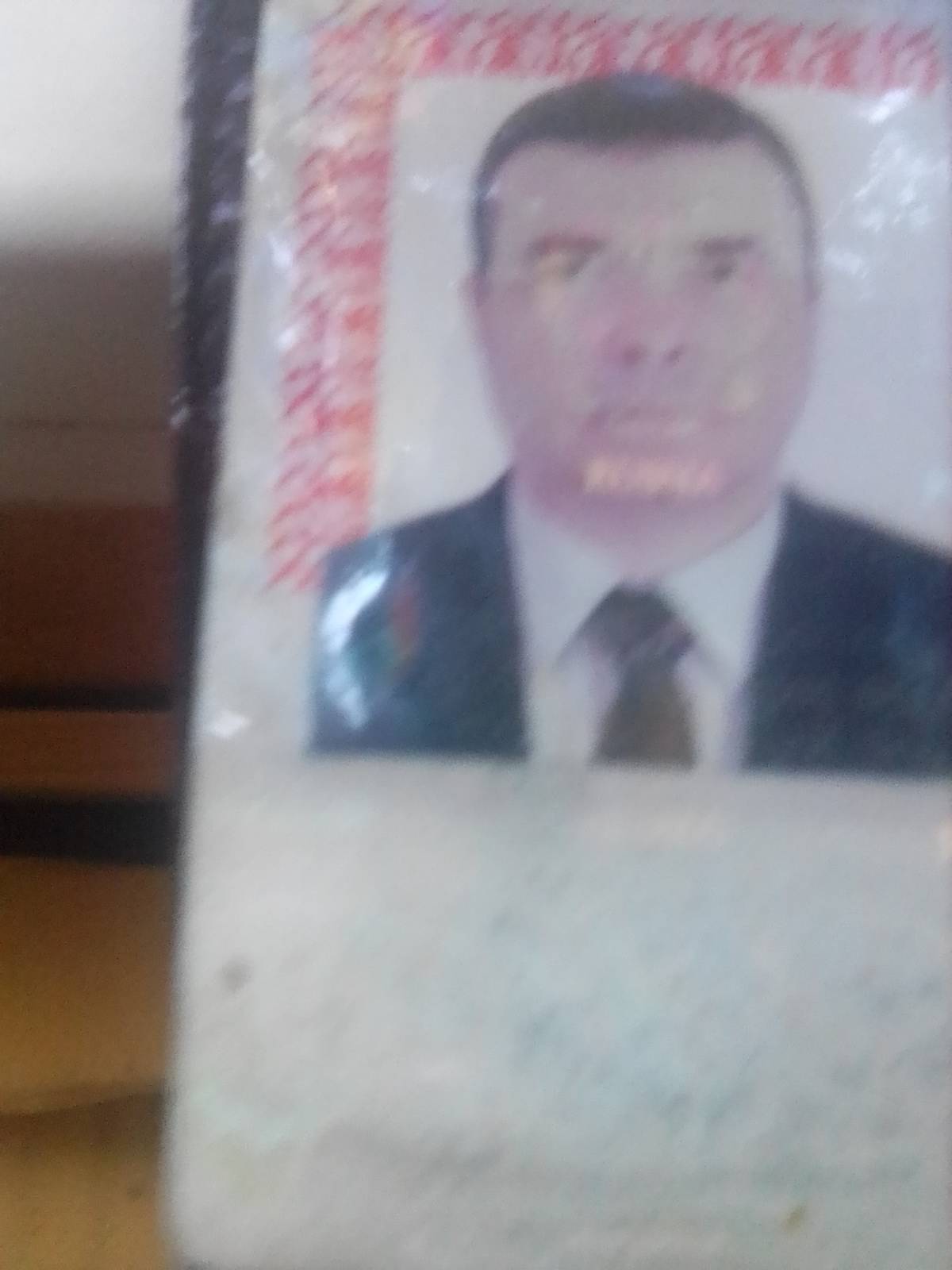 Дмитрий Турутин