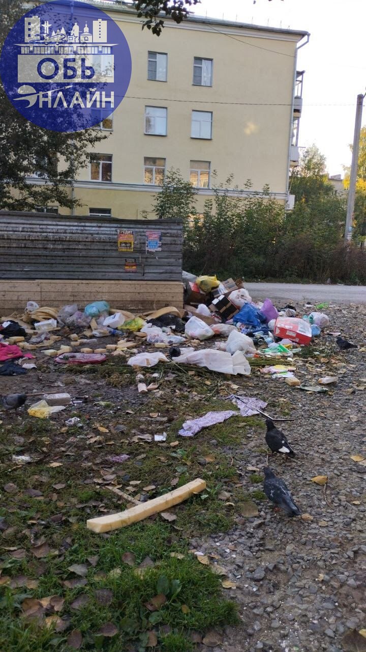 ↗ Какая классная мусорка около ЖКО АЭРОПОРТА 2
vk.com
Подробнее на https://vk.com/ob.gorod
#городобь #городобьонлайн #толмачево | Сетка — социальная сеть от hh.ru