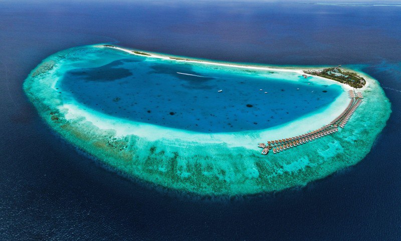 Maldives Resort Unicorns Mermaids
Seaside Finolhu’s coral reef, lagoon, overwater villas, main island, and sandbank | Сетка — социальная сеть от hh.ru