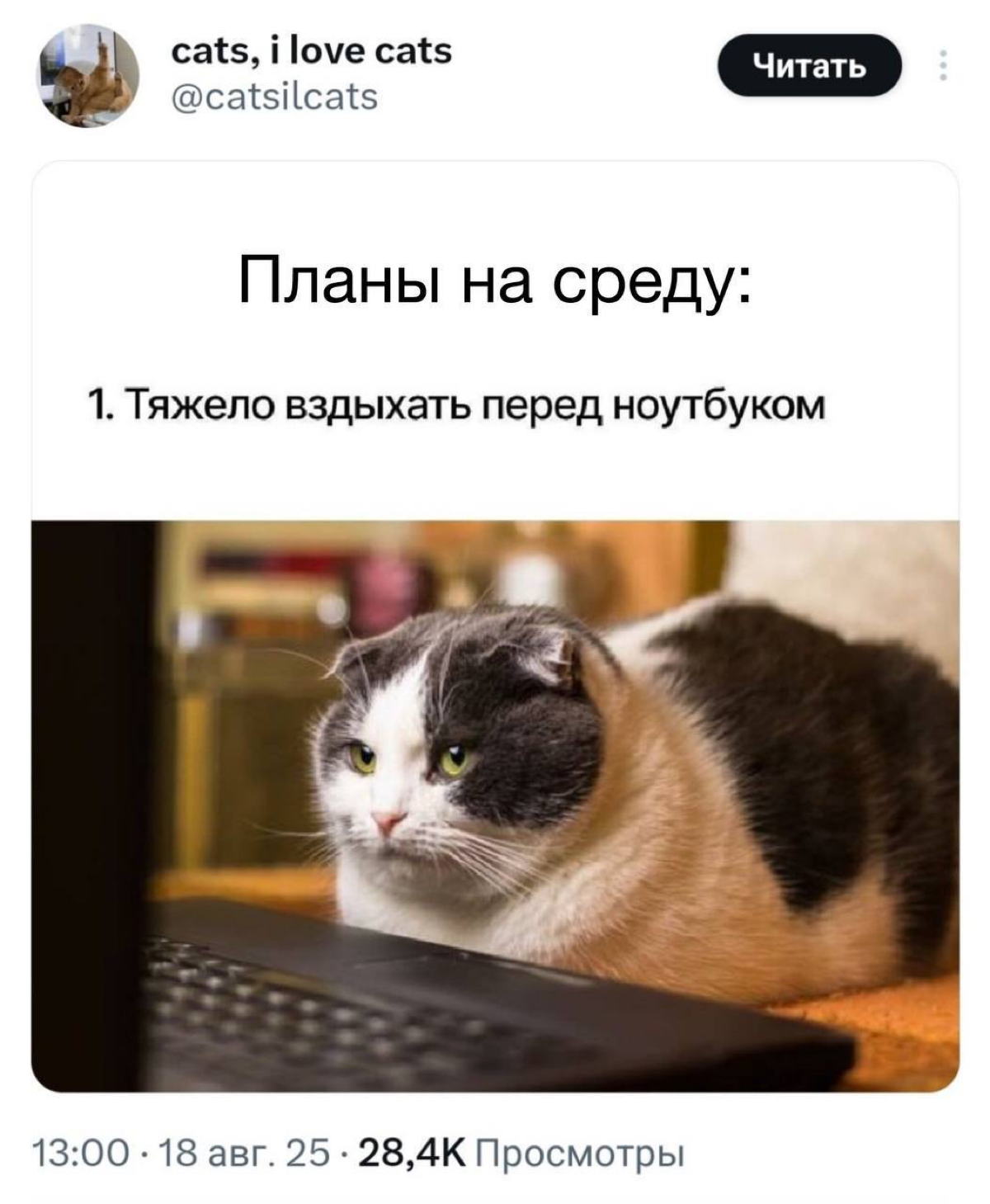 половина рабочей недели пройдена, осталось чуть-чуть дожить-дожать! | Сетка — социальная сеть от hh.ru