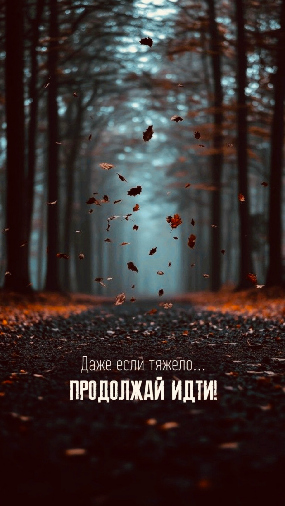 🔝обои | Сетка — социальная сеть от hh.ru