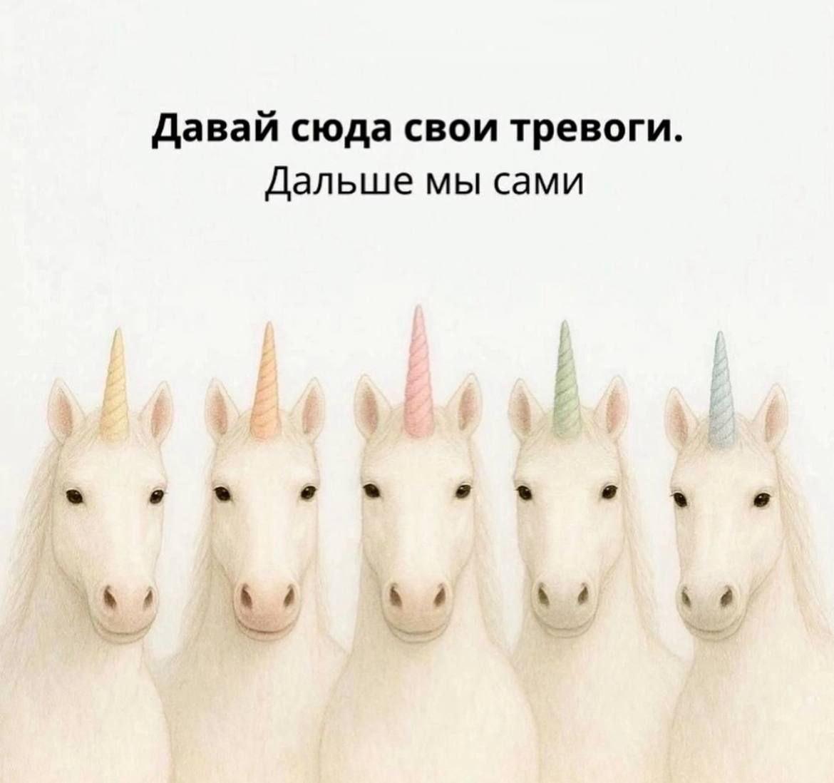 Делись в комментариях мемом сегодняшнего дня.
#понирупор #мемврупор | Сетка — социальная сеть от hh.ru