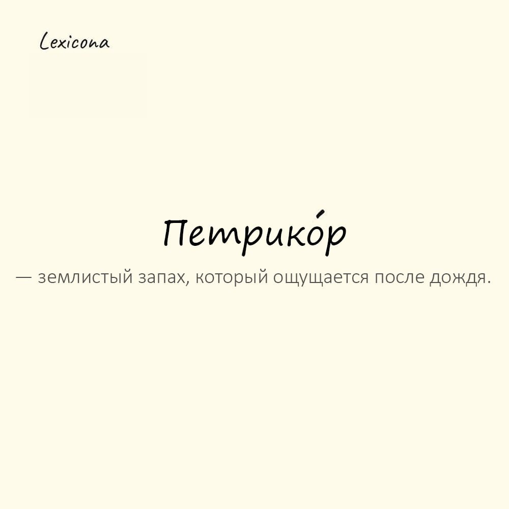 Петрикор — землистый запах, который ощущается после дождя 🌧️
Пример употребления:
После долгой засухи весь город наполнил пьянящий аромат петрикора | Сетка — социальная сеть от hh.ru
