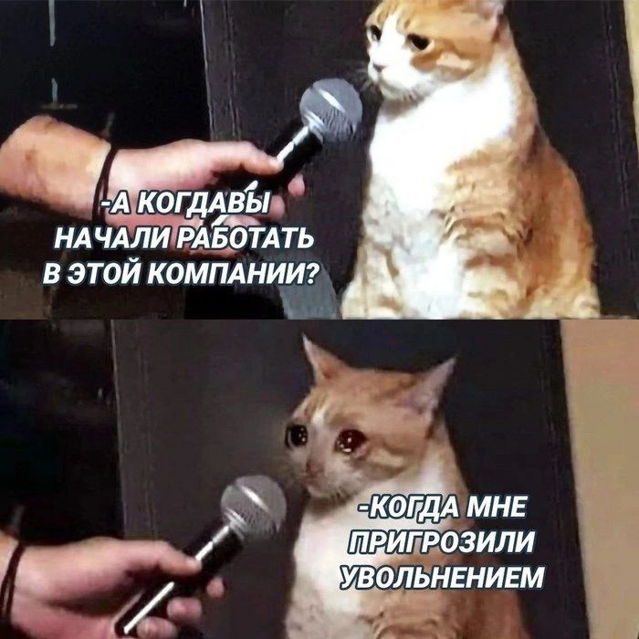 А с другой стороны что? | Сетка — социальная сеть от hh.ru