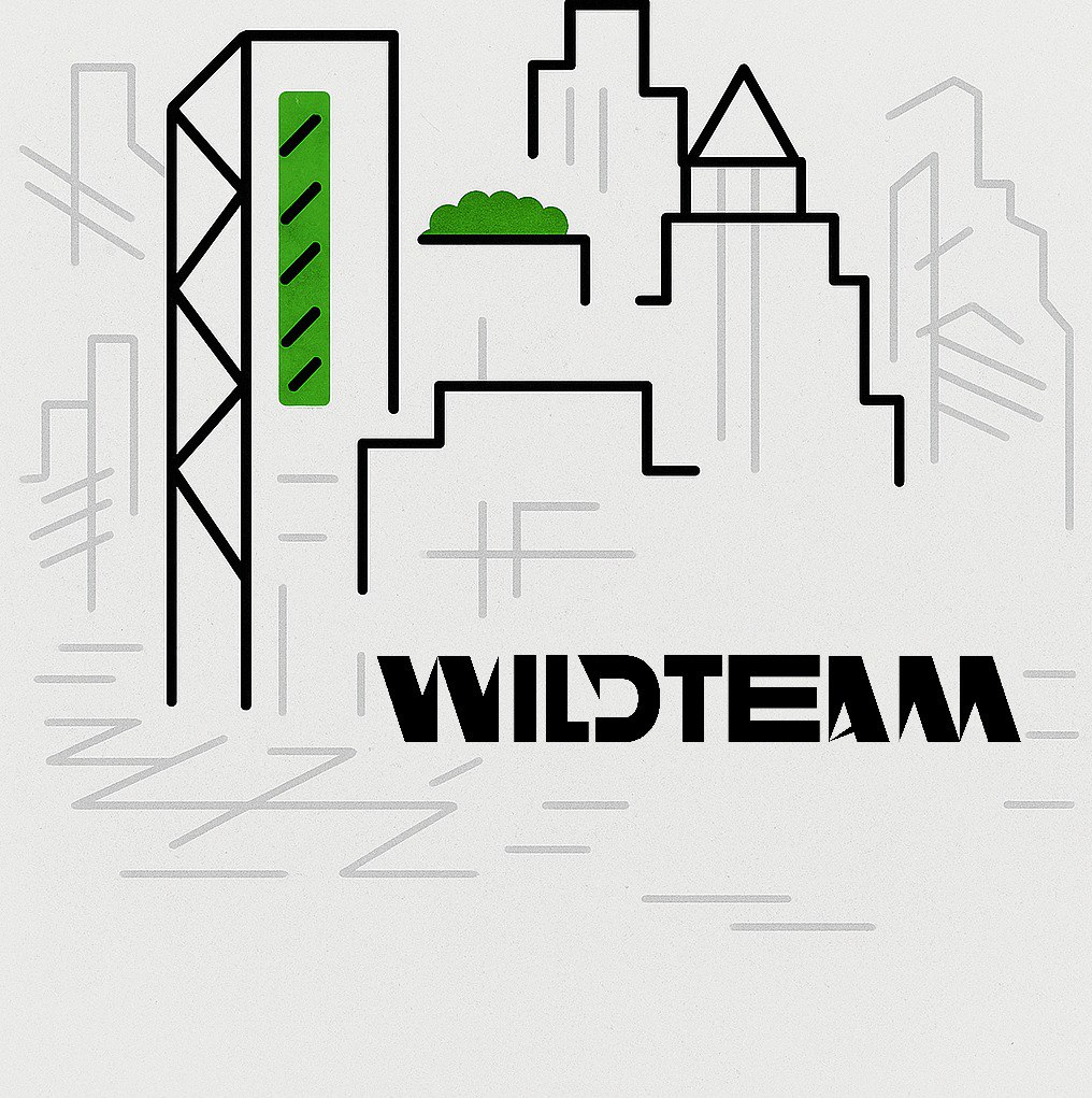 Лекторий #WildTalks | Сетка — социальная сеть от hh.ru