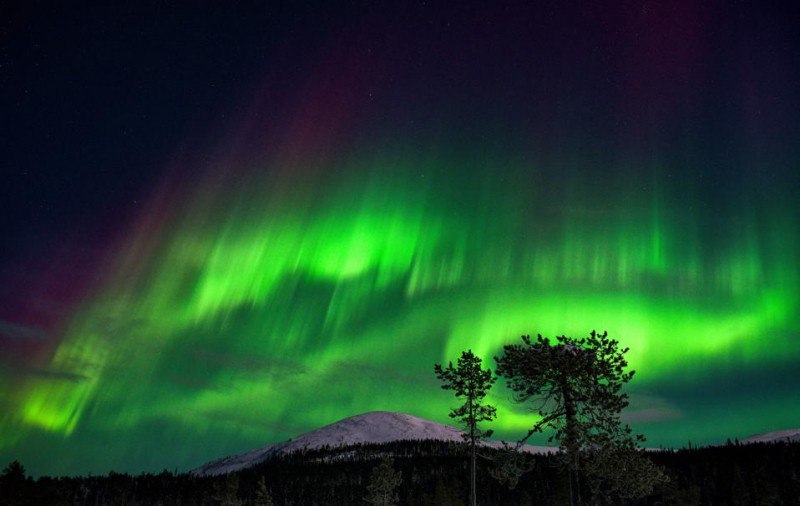 Northern Lights
https://procreator.top/2025/09/11/northern-lights/ | Сетка — социальная сеть от hh.ru