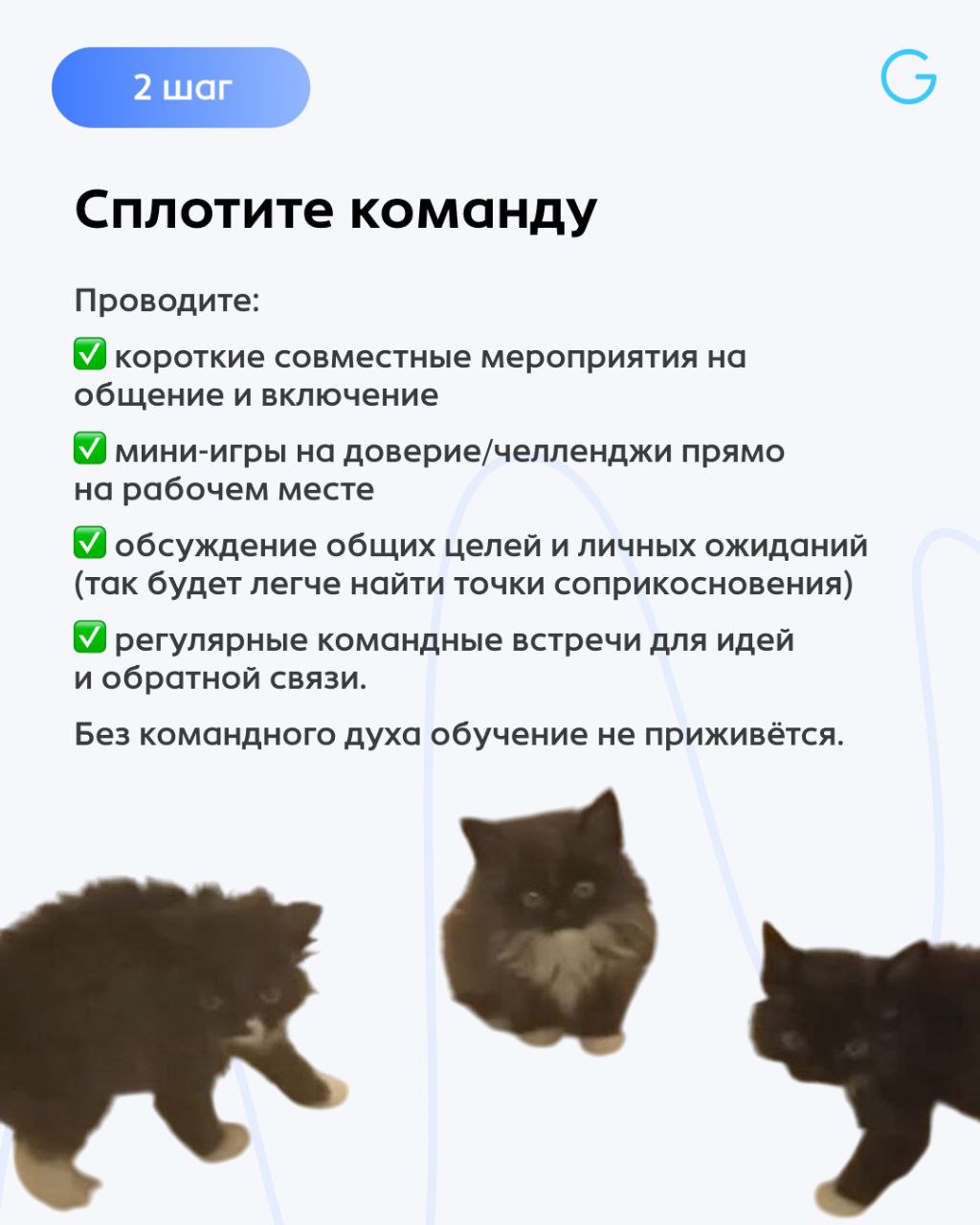 Обучение по вдохновению редко дает результат | Сетка — социальная сеть от hh.ru