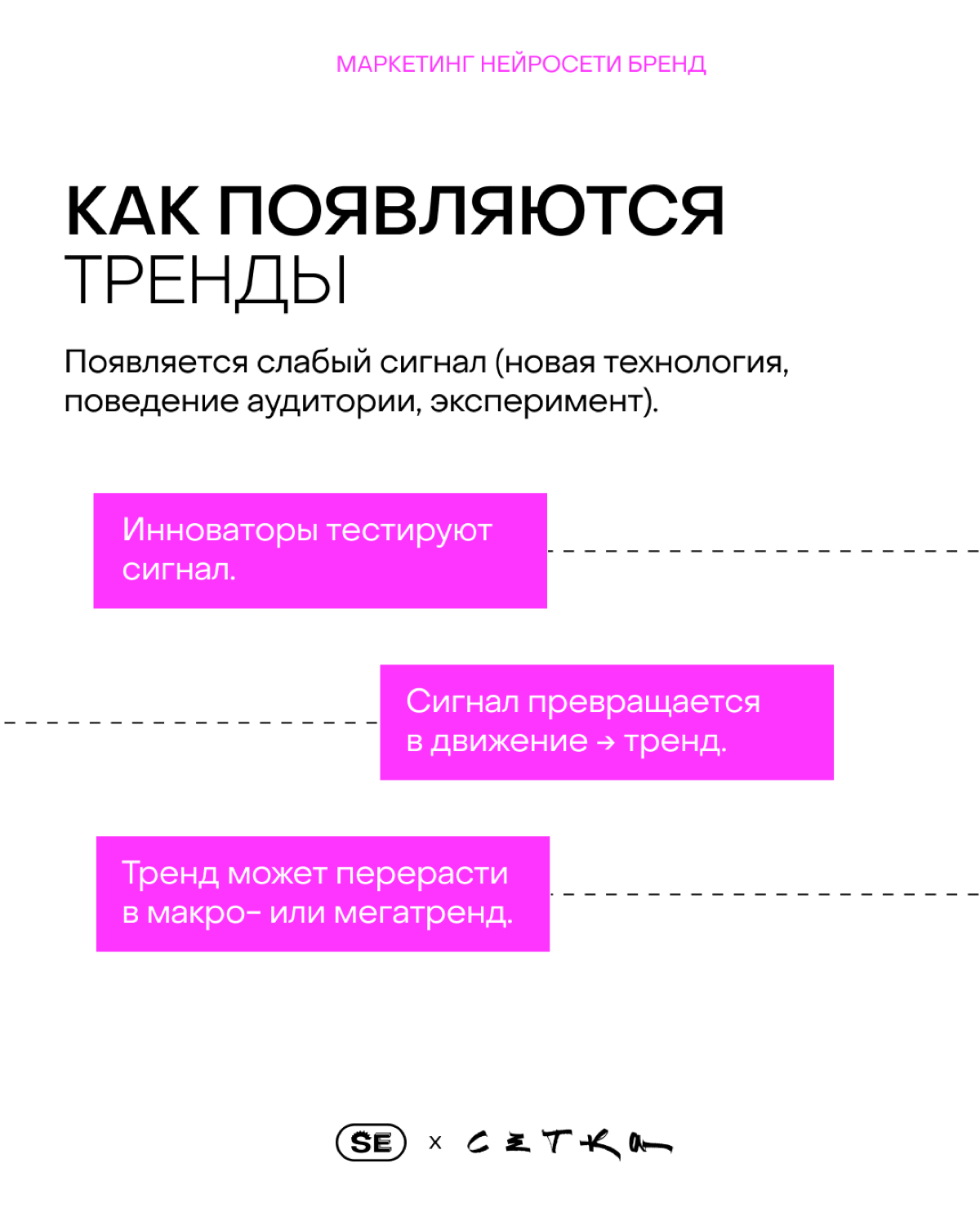 Как отличить тренд от хайпа и использовать его для роста | Сетка — социальная сеть от hh.ru