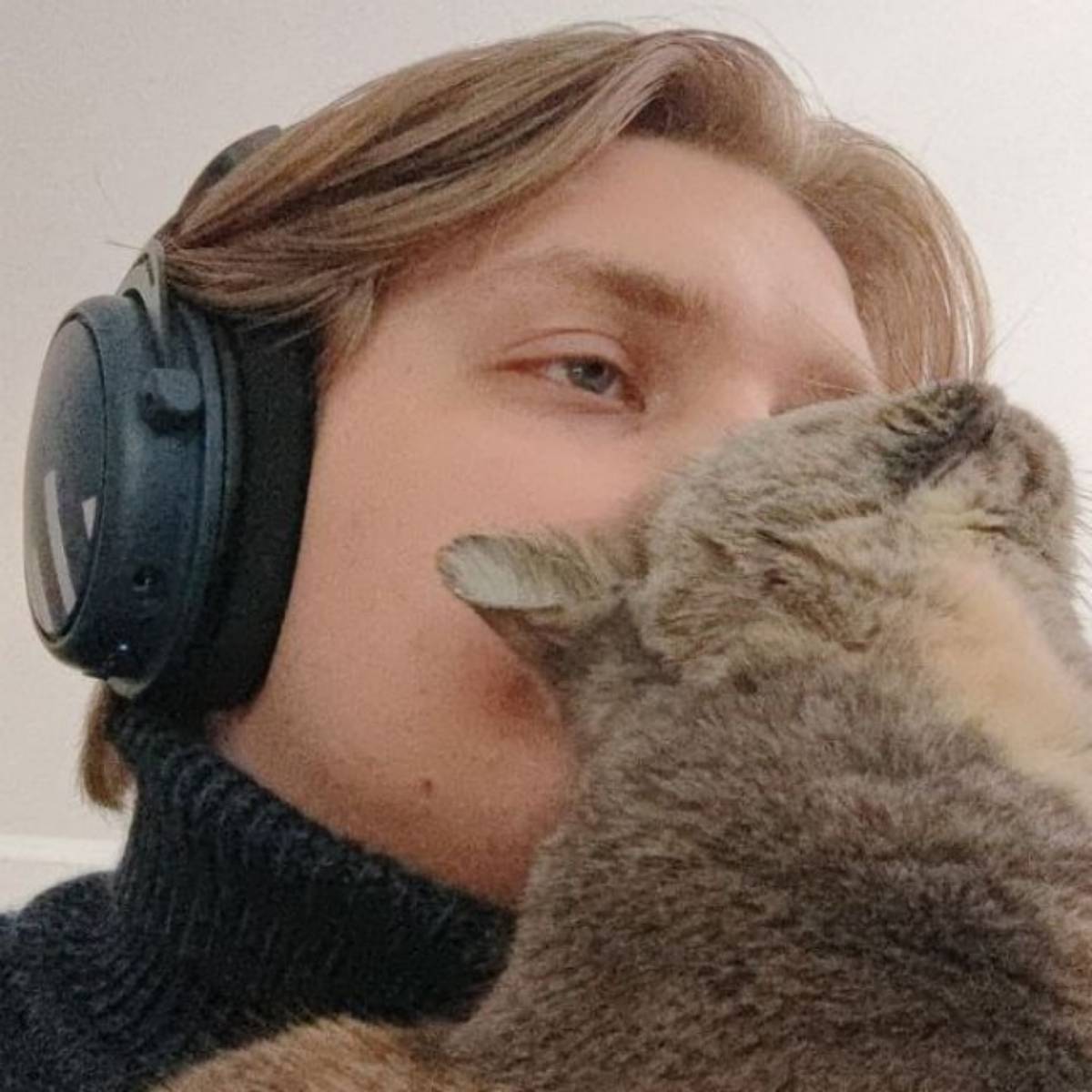 Дмитрий Петрушин | Сетка — социальная сеть от hh.ru