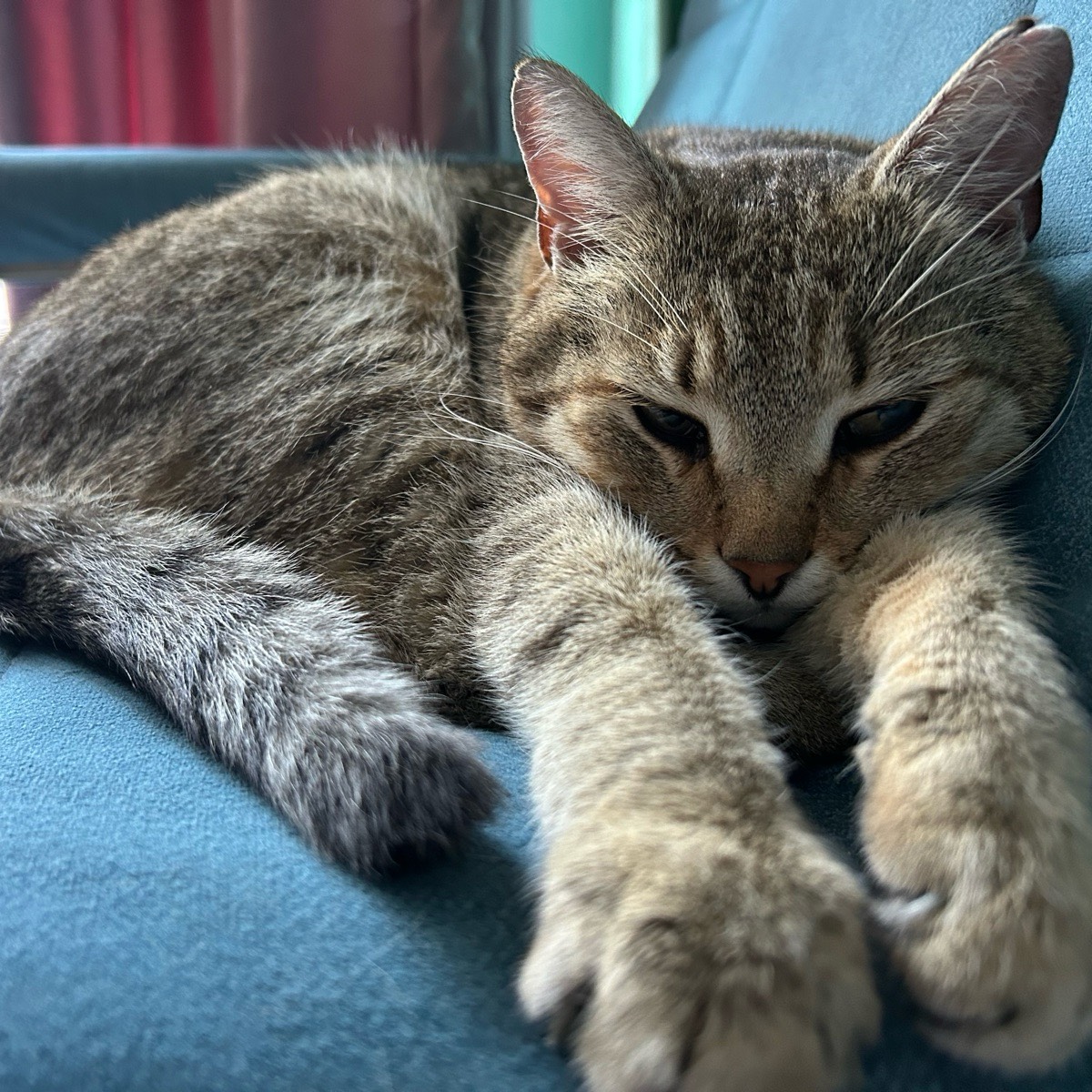 Марина Лечкина