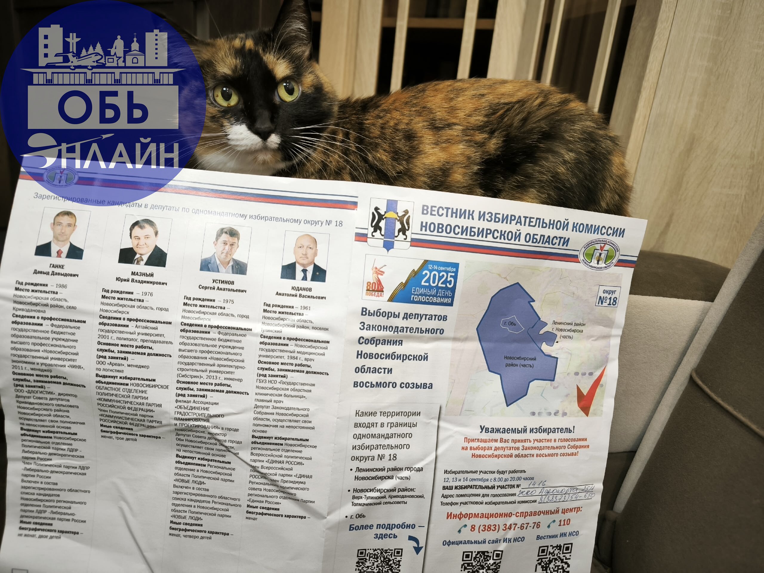 ↗ ПАПА,ЗА КОГО?😼
vk.com
Подробнее на https://vk.com/ob.gorod
#городобь #городобьонлайн #толмачево | Сетка — социальная сеть от hh.ru